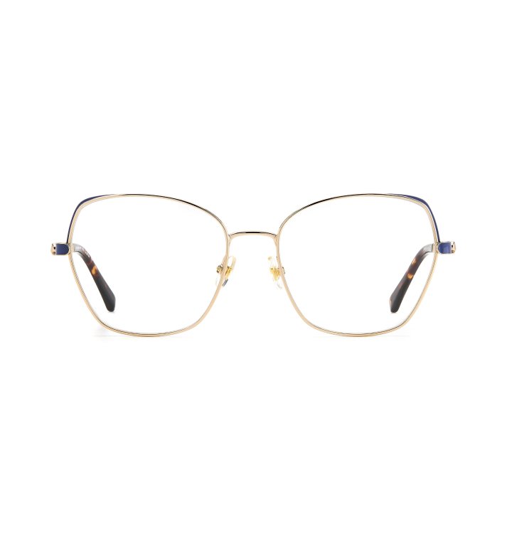 Perceptive Panes